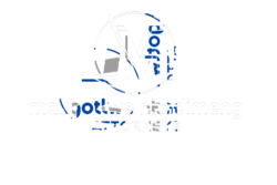 logo clean transparent13